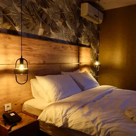 Goga Otel 3*