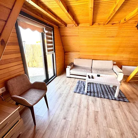 Hotel Goga 3*